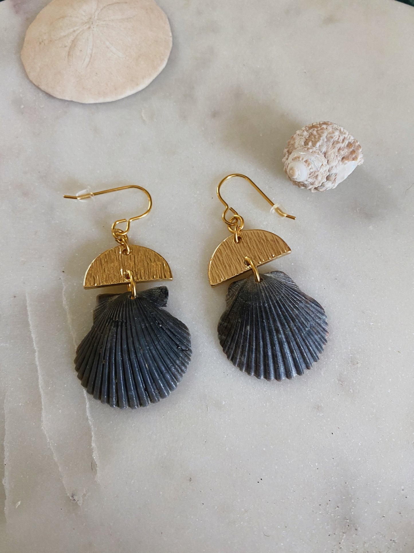 Golden Black Scallops