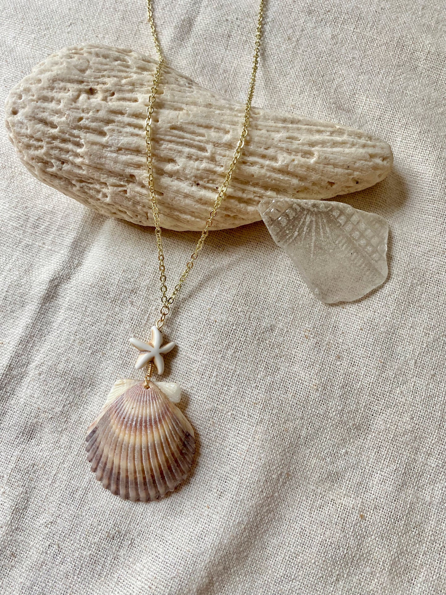 Starred Scallop Necklace