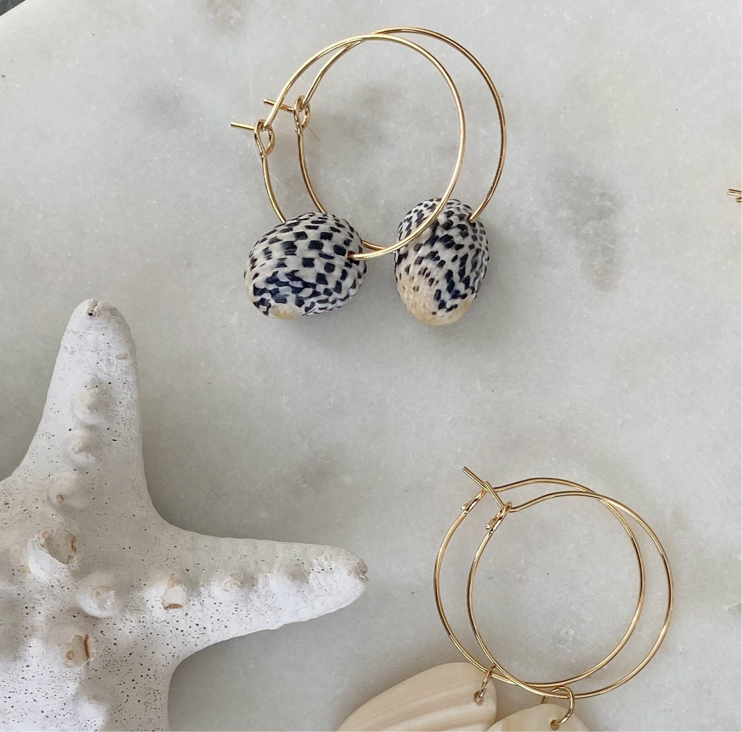 Spotted Shell Hoops