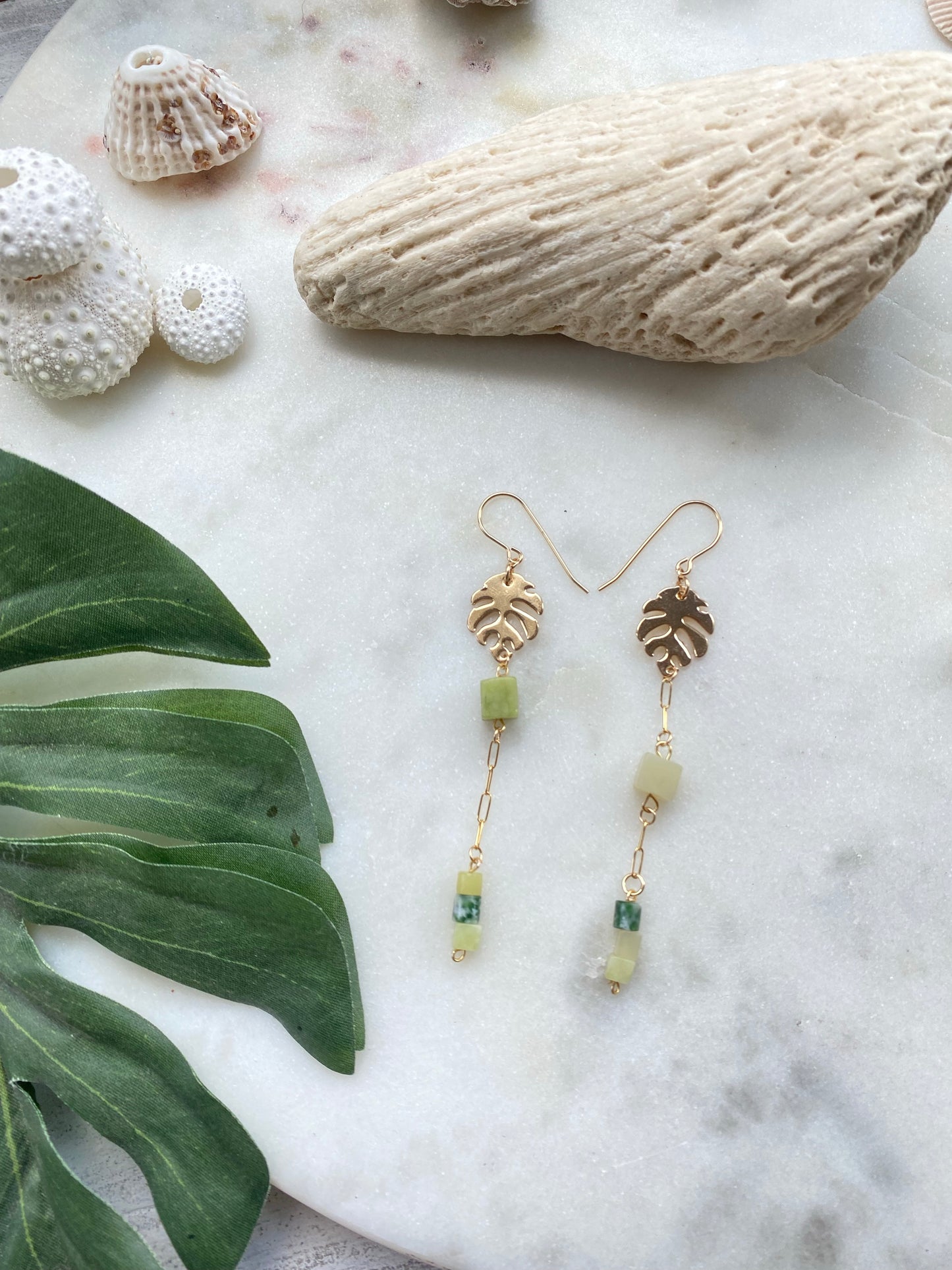 Asymmetric Green Bead Monstera