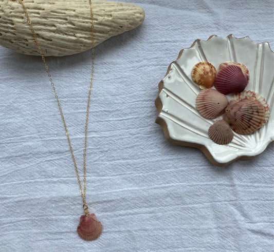 Baby Scallop Necklace