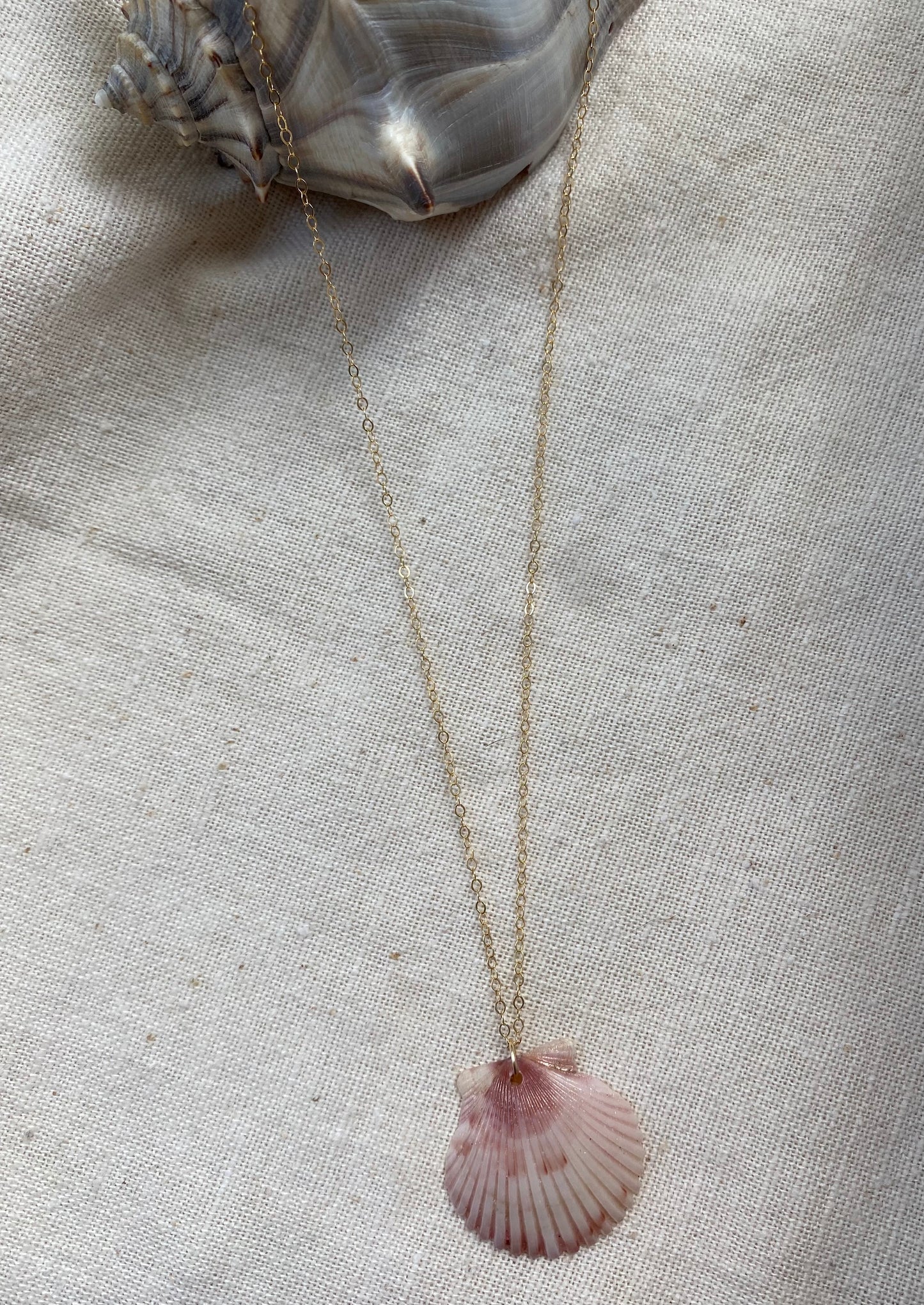 Circle Pink Scallop Necklace