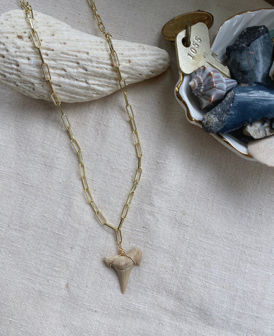 Chained Up Shark Tooth