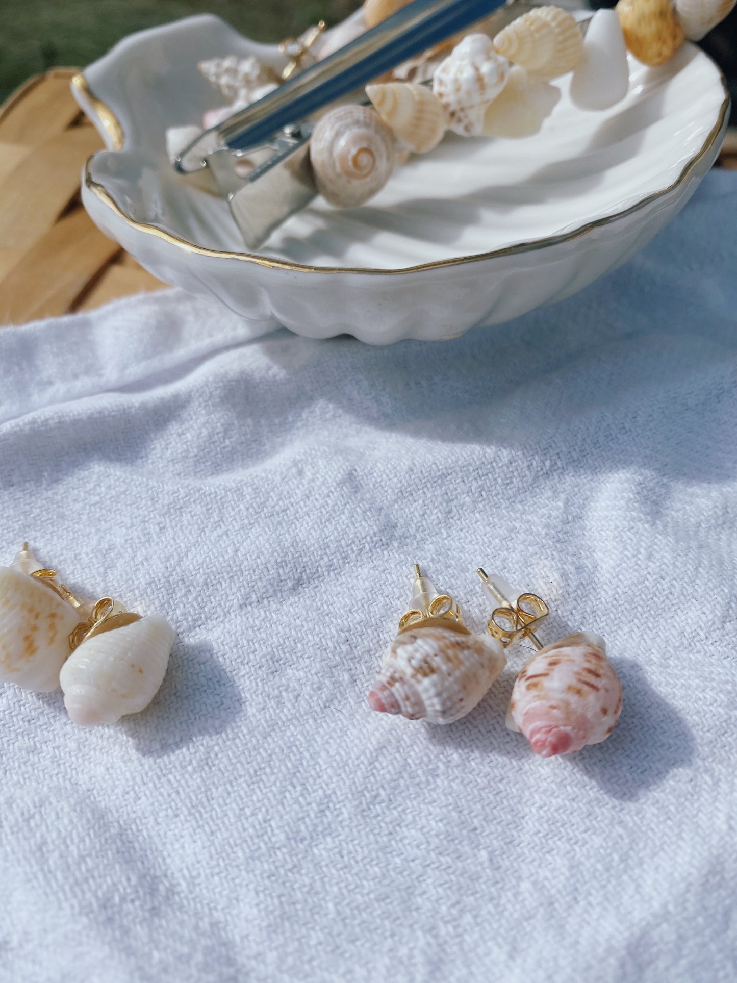 Baby Conch Studs