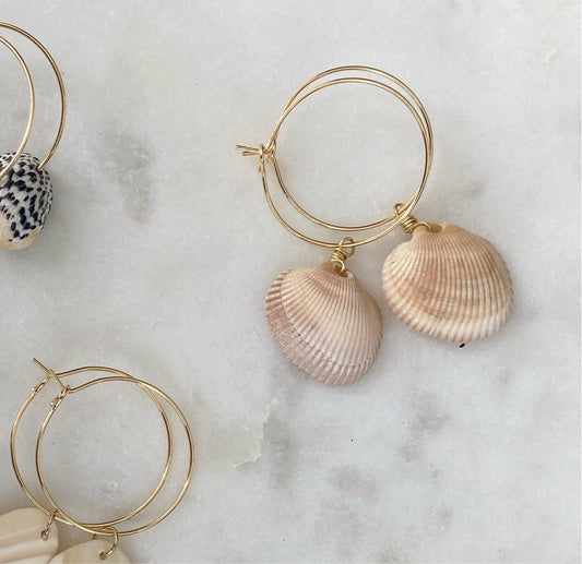 Shell Hoops-Clam